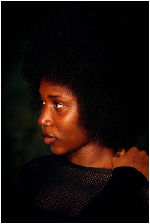 A striking portrait of a woman with natural afro h
