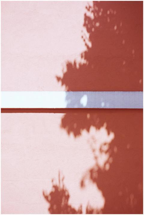 Tree shadows create abstract patterns on a vibrant