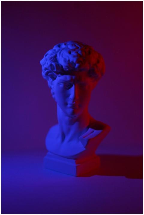 Bust of young male on plinth placed on white surfa