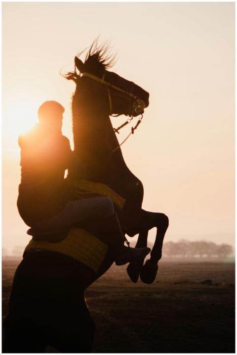 A dramatic silhouette of a person riding a horse r