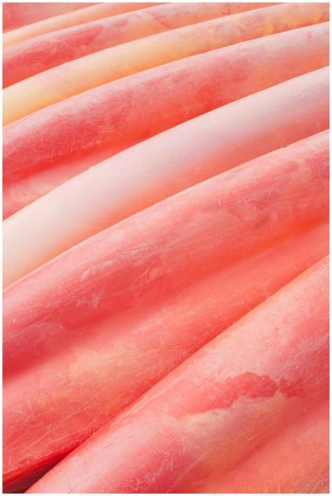 A detailed close-up of vibrant red kayak textures,