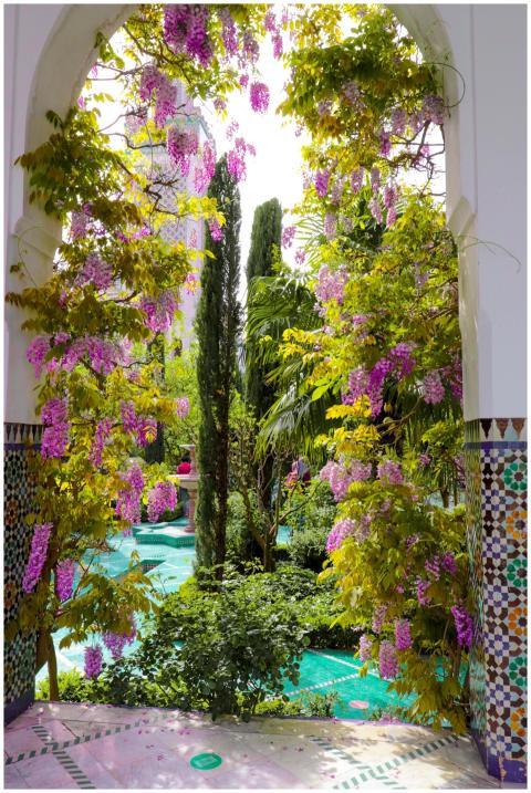 A vibrant view of a Moroccan-style garden with wis