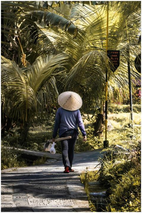A farmer wearing a conical hat walks through a tro