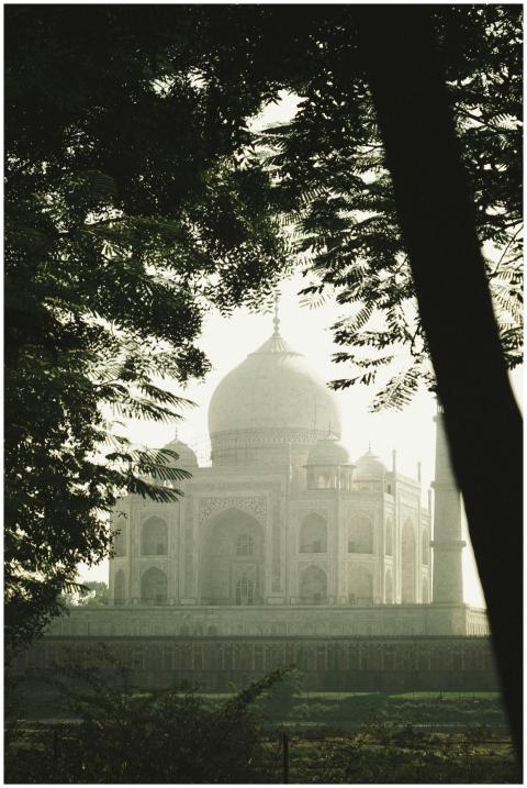 Serene view of the Taj Mahal framed by trees, capt