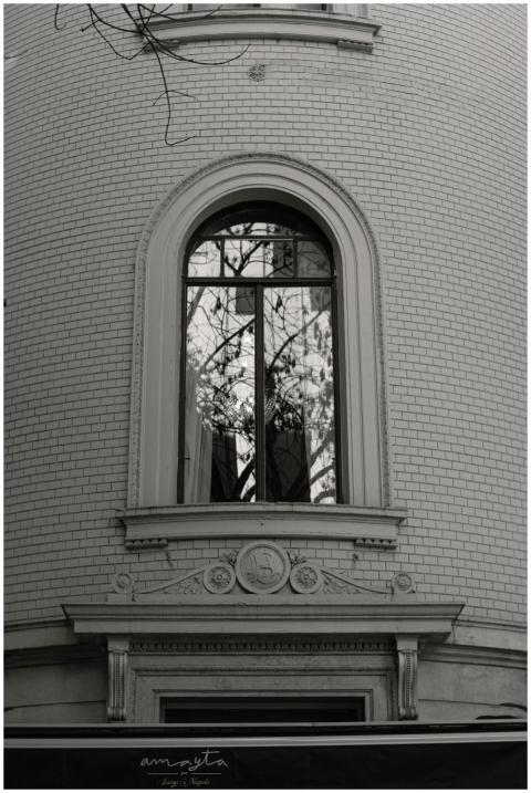 Black and white photo of a European-style window w