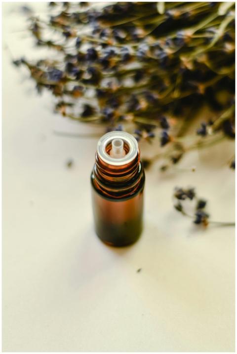 Essential oil bottle surrounded by dried lavender