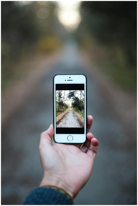 A smartphone displays a photo of a forest path, sh