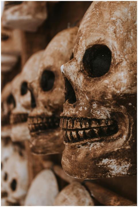 Close Up Ancient Skull