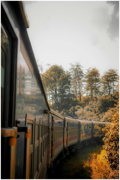 A picturesque train curving through the lush green