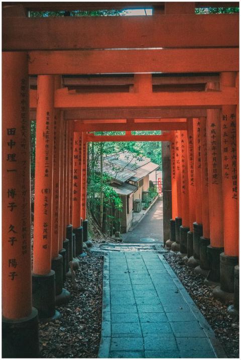 Explore the mystical pathway of vibrant red torii