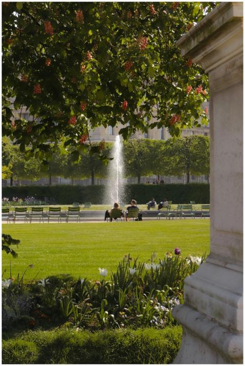 Tranquil afternoon in a Paris park with lush green