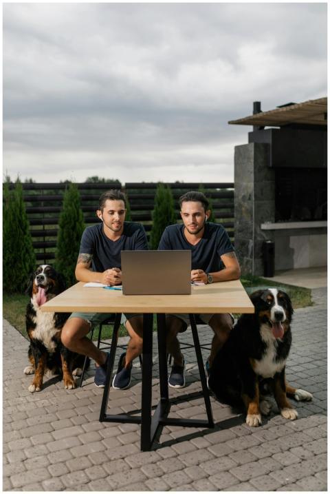 Outdoor scene with twins and dogs during a virtual