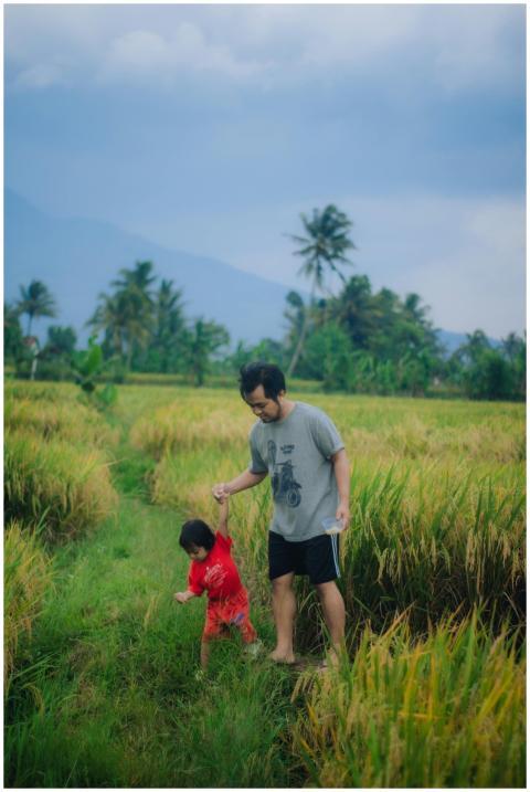 A father and child enjoy a walk through lush rice