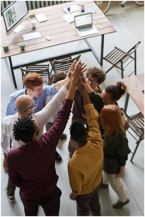 A diverse group of professionals high-fiving in a