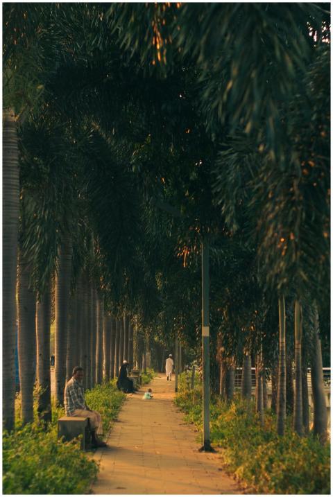 Free stock photo of adorable child, bangladesh, dh