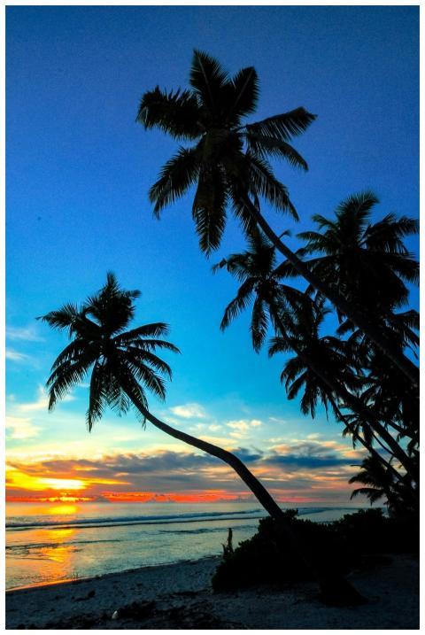 Stunning tropical beach scene with silhouetted pal
