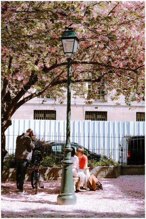 Couple enjoys a spring day under cherry blossoms i