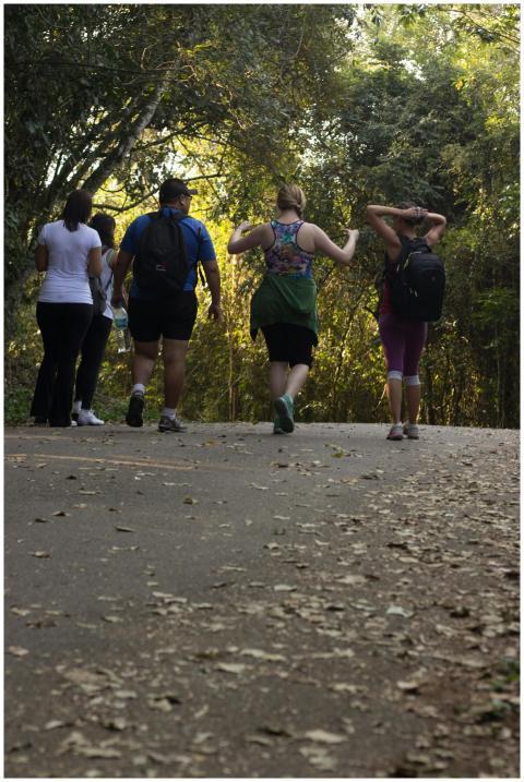 A group of people walking on a forest trail during