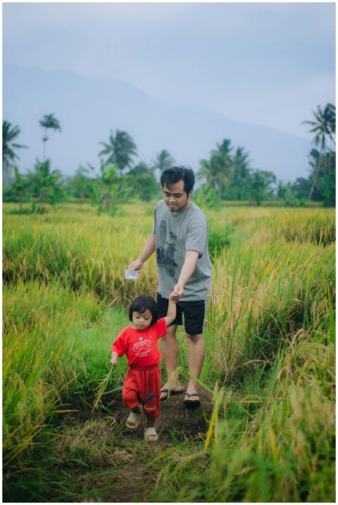 A father and his child enjoying a walk in a rice f