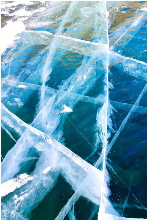 Close-up view of intricate ice patterns on a froze