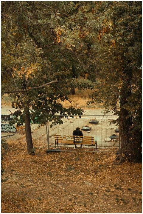 Solitary Figure Park Bench
