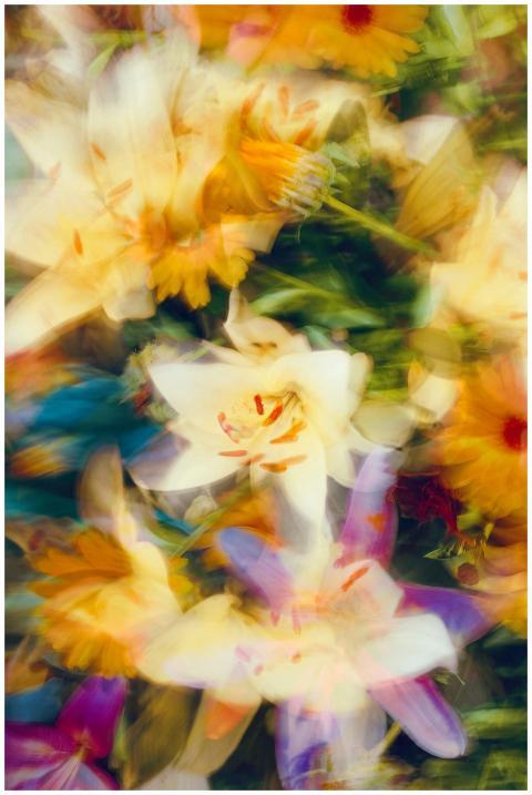 A vibrant, abstract composition of blurred colorfu