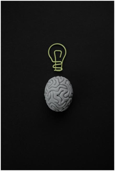 Gray brain with light bulb symbol on black backgro