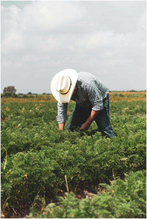 A dedicated farmer working in a lush green field d