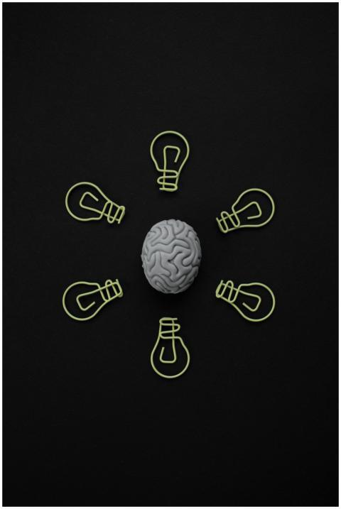 Top view of a brain model surrounded by paper clip