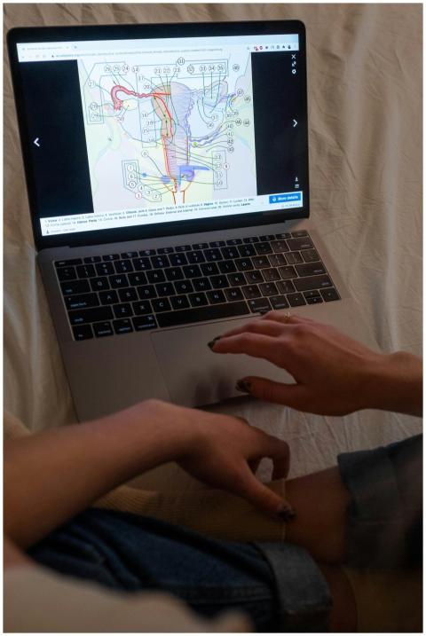 A woman studying an anatomical diagram on a laptop