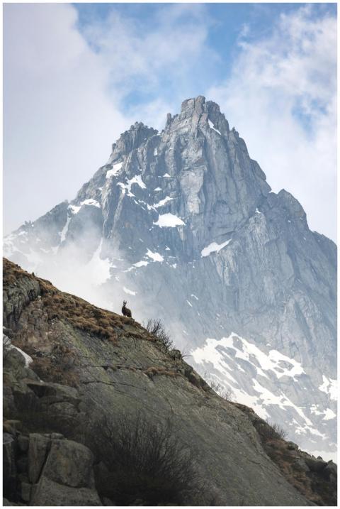 A breathtaking view of a snow-capped mountain peak