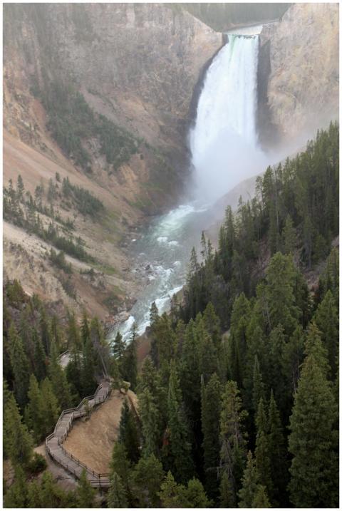Free stock photo of yellowstone, yellowstone natio