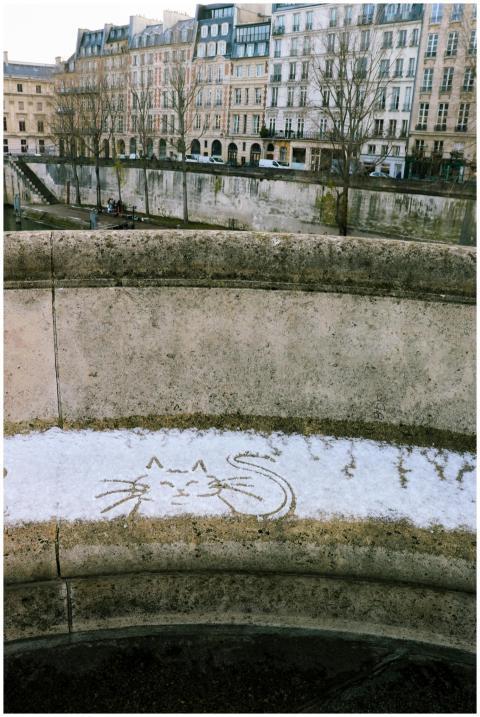 Snow-drawn cat on stone ledge with Paris buildings