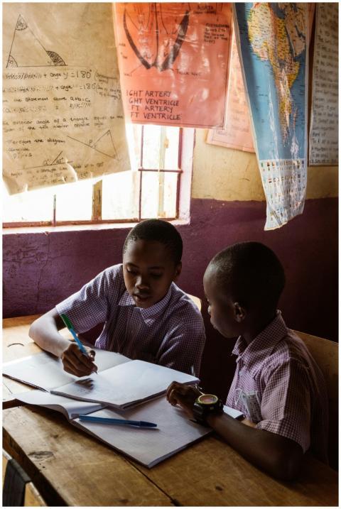 Two young students working together at a desk in a
