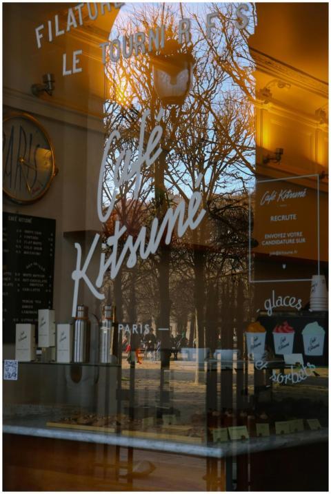 Reflection of trees in a Parisian café window duri