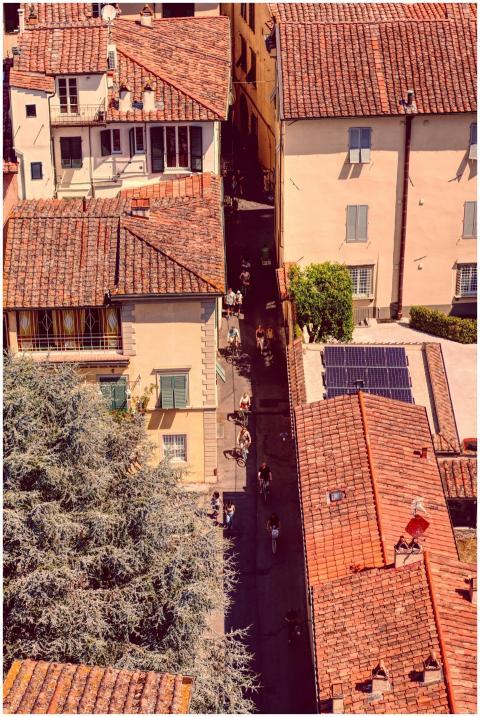 Charming aerial shot of Lucca's terracotta rooftop