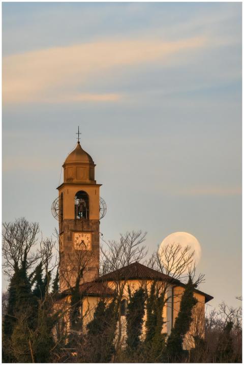 A clock tower framed by a full moon and bare trees