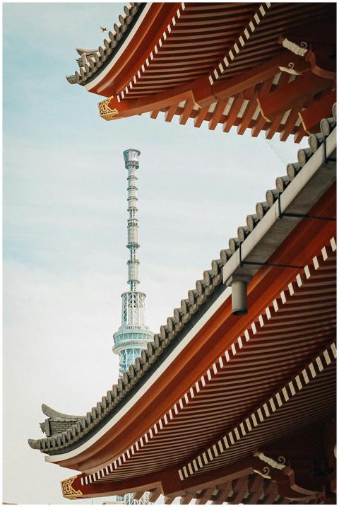 A captivating view of traditional Japanese archite