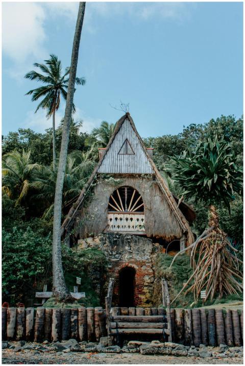 Rustic thatched hut in a tropical setting with lus