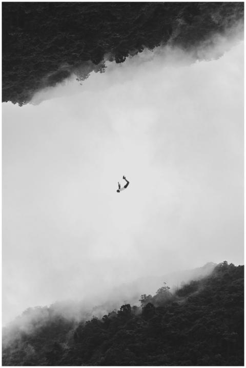 Silhouetted person mid-air against a fog and fores