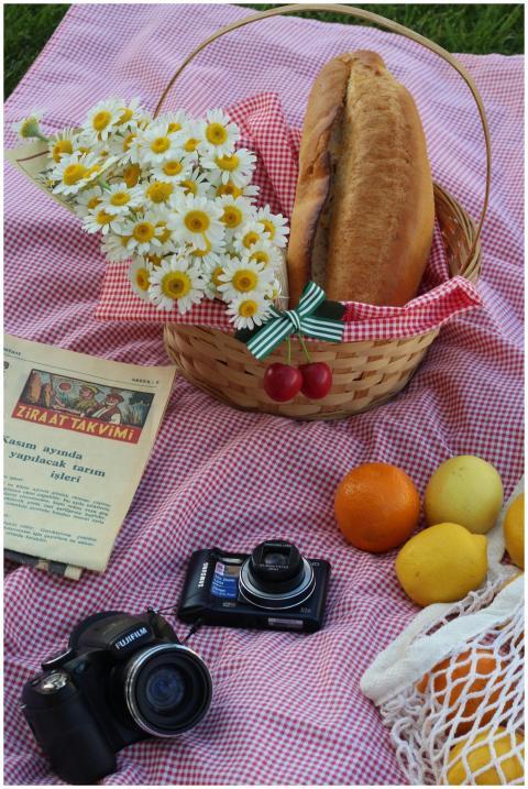 A picnic basket with bread, flowers, and cameras o