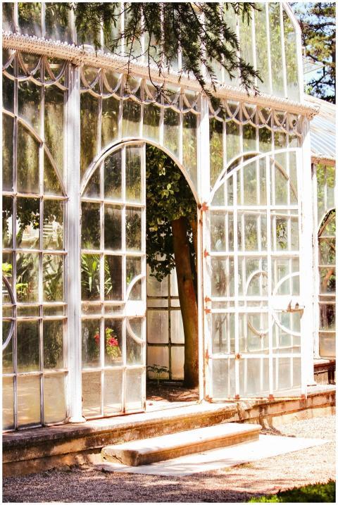 Sunlit entrance of a vintage glasshouse showcasing