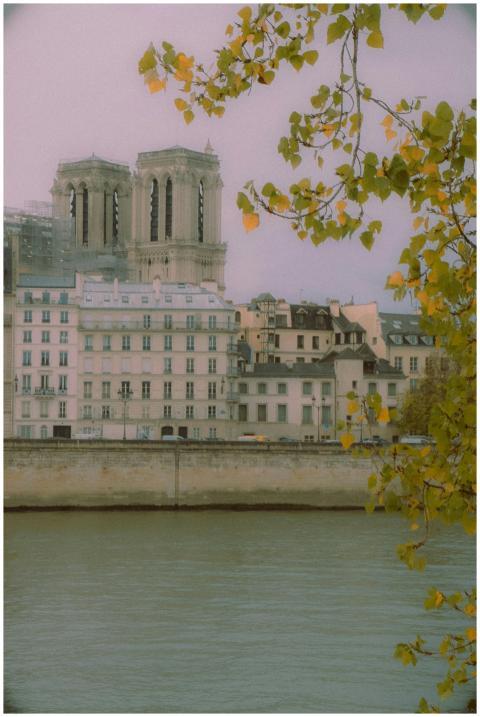 Vintage view of Notre Dame Cathedral from the Sein