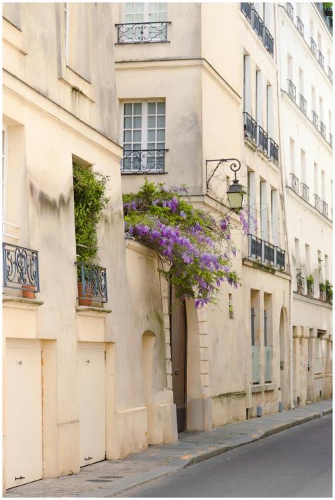 Peaceful street in Paris featuring classic archite