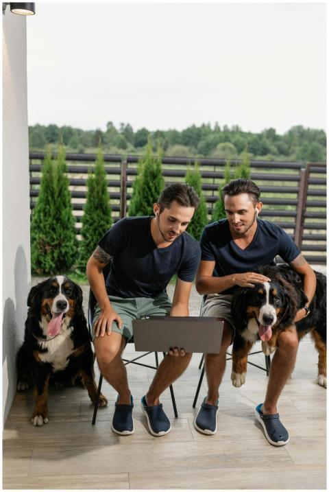 Two men and their Bernese Mountain Dogs relax on a