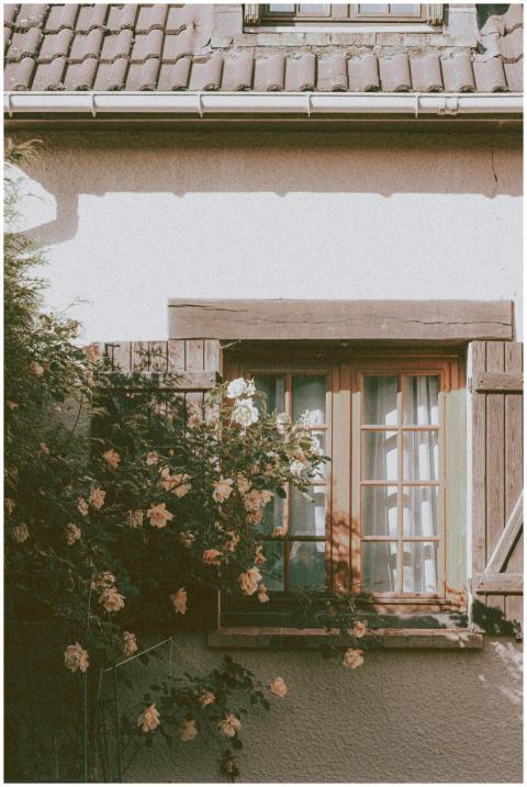 Exterior of cozy residential house with wooden win