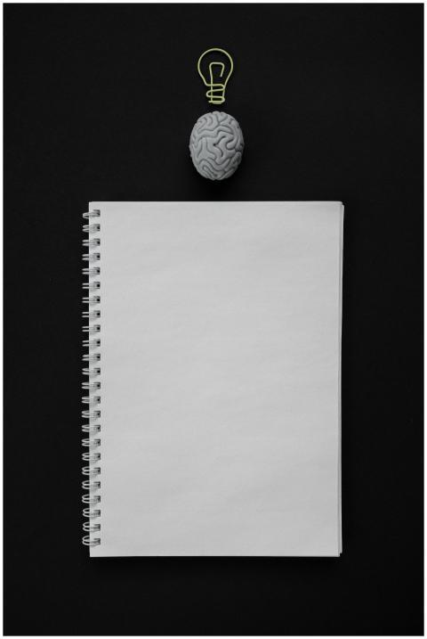 Vertical flat lay of a blank notebook and a brain