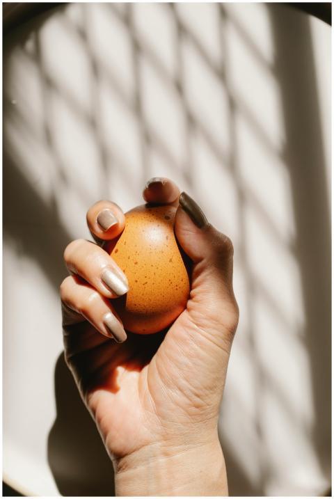 Close-up of a woman's hand holding a brown egg wit