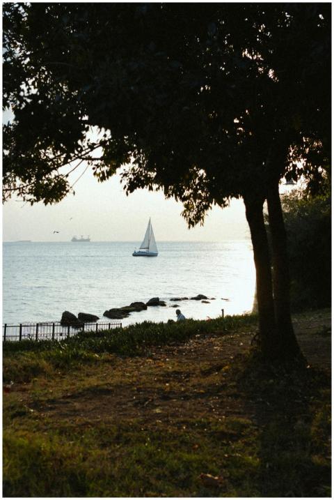 Free stock photo of autumn, boat, candid