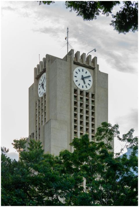 A clock tower rising above the trees in Belo Horiz